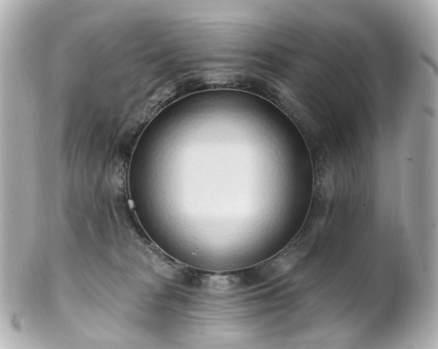 X0000100910277200807011250