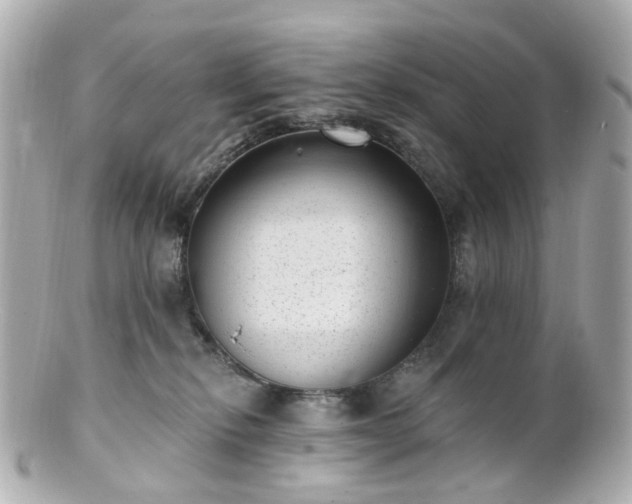 X0000100910278200807011250