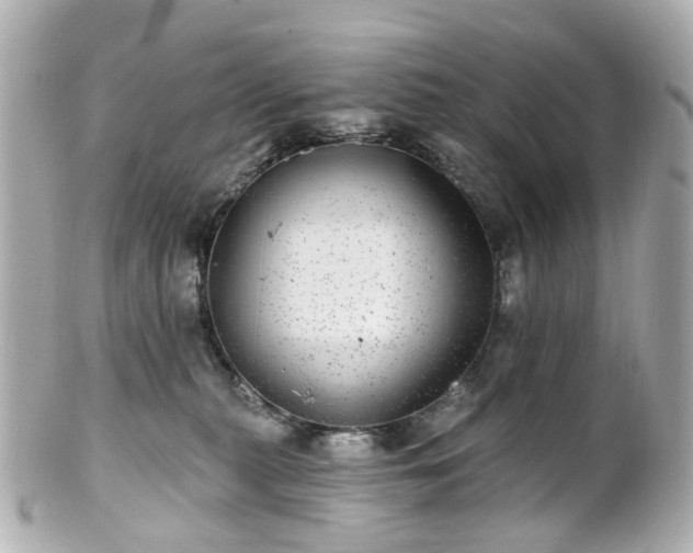 X0000100910279200807011250