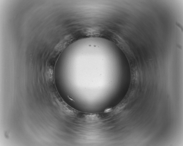 X0000100910281200807011250