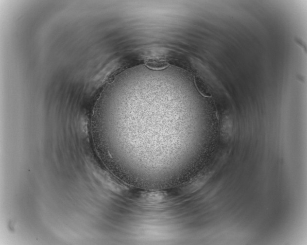 X0000100910282200807011250