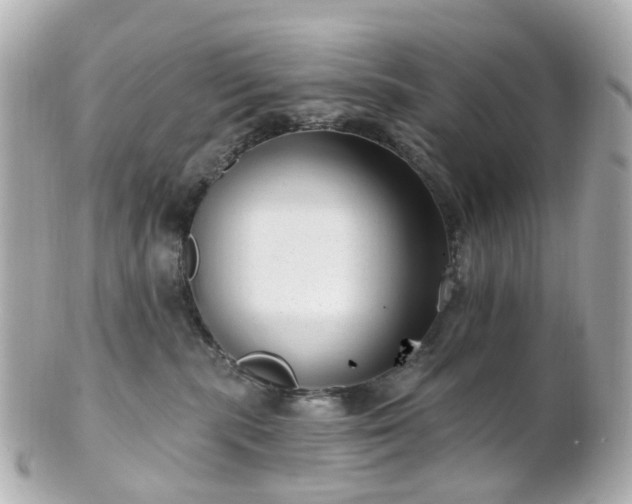 X0000100910283200807011250