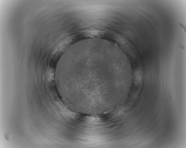X0000100910284200807011250