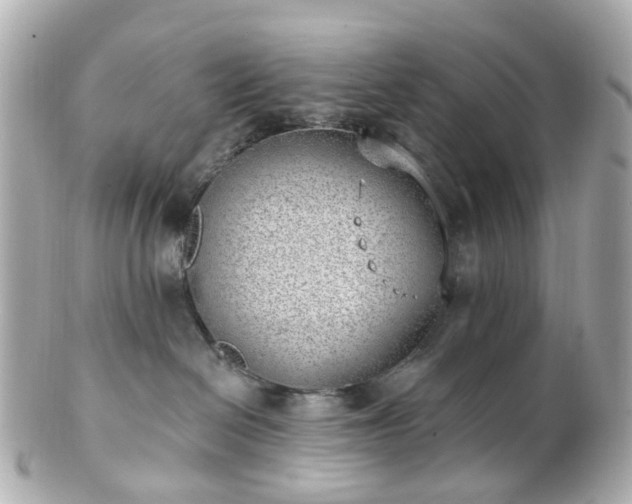 X0000100910286200807011250