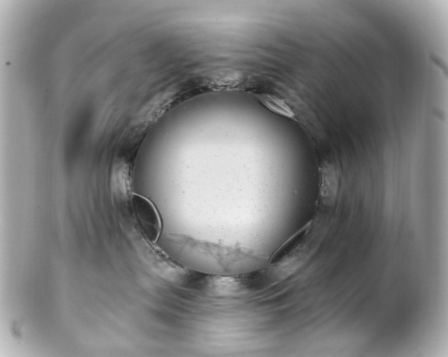 X0000100910287200807011251