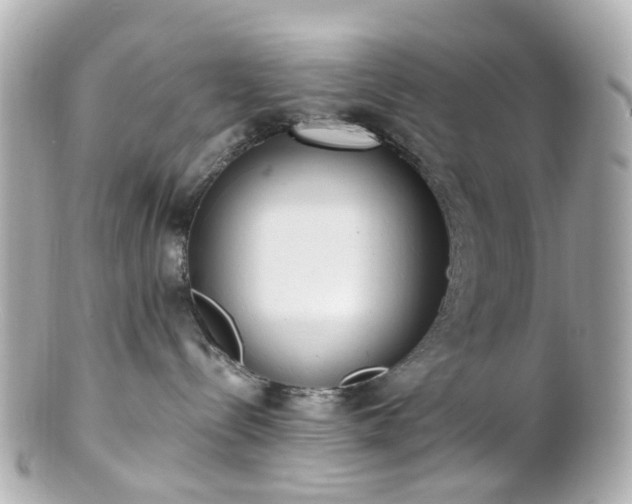 X0000100910288200807011251
