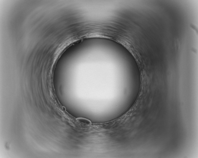 X0000100910289200807011250