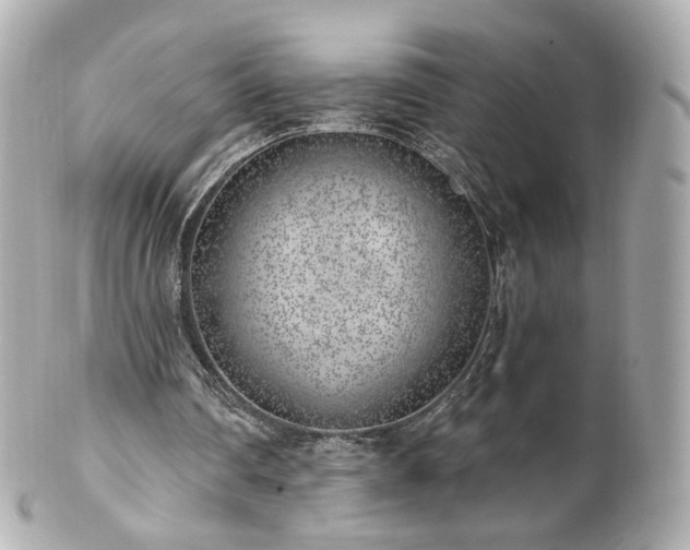 X0000100910290200807011250