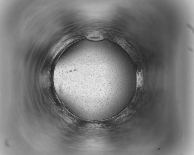 X0000100910291200807011250