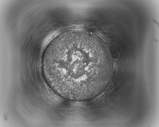 X0000100910293200807011250