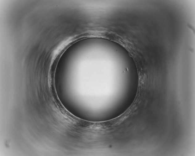 X0000100910294200807011250