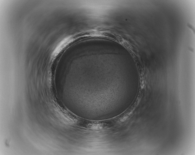 X0000100910295200807011250