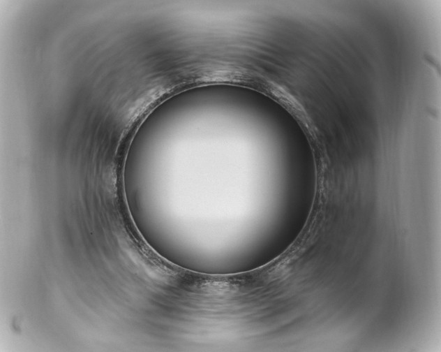X0000100910298200807011250