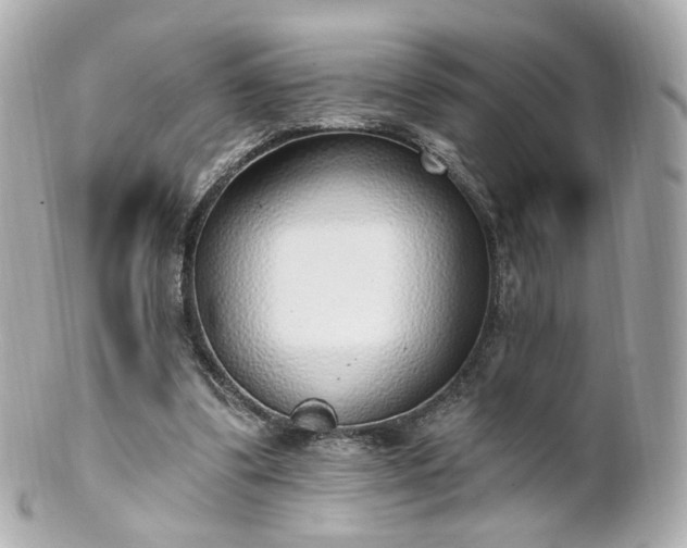 X0000100910299200807011250
