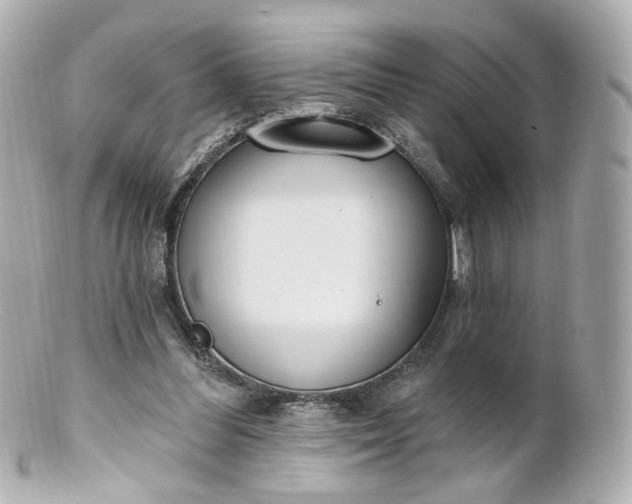 X0000100910300200807011250