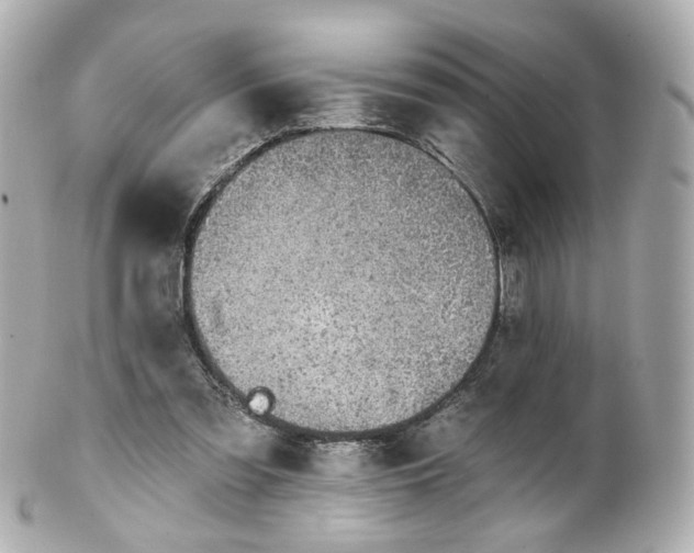 X0000100910301200807011250