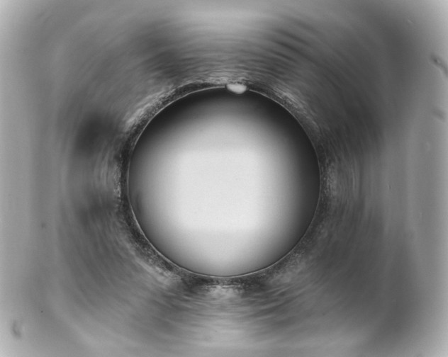 X0000100910303200807011250