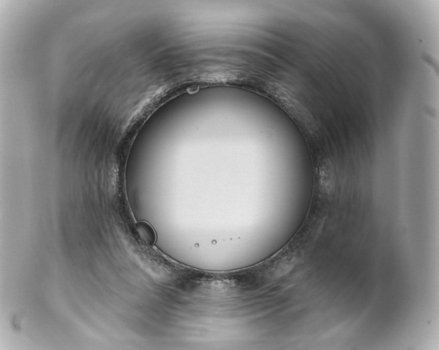 X0000100910304200807011250