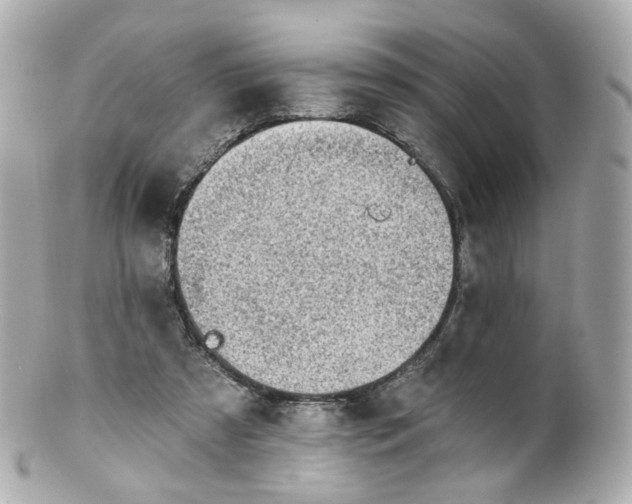 X0000100910305200807011250