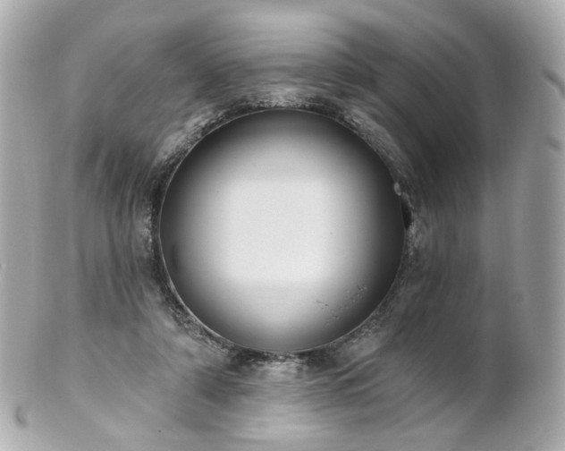 X0000100910306200807011250