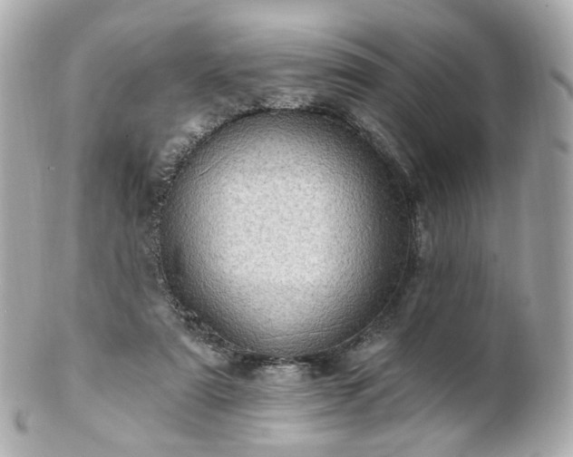X0000100910307200807011250