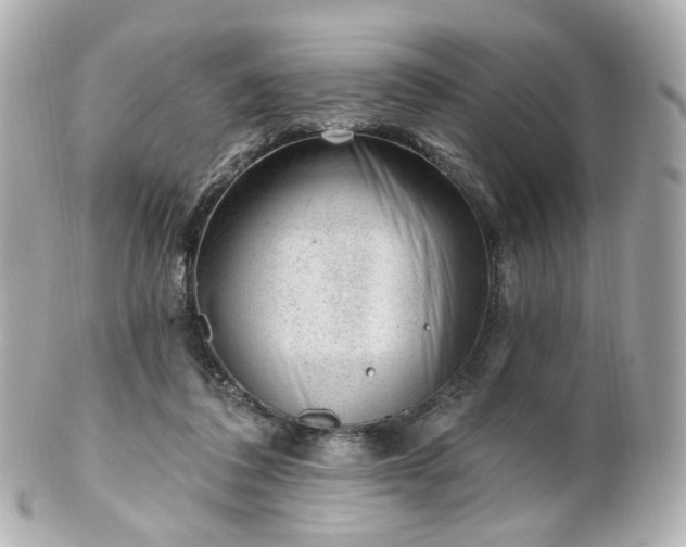 X0000100910308200807011250