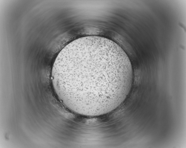 X0000100910309200807011250