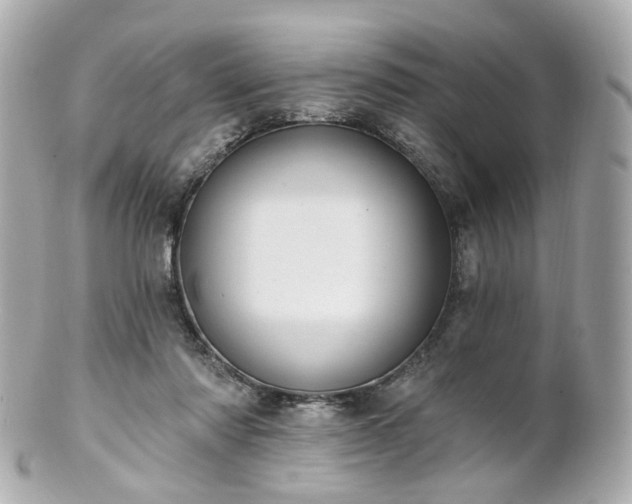 X0000100910310200807011250
