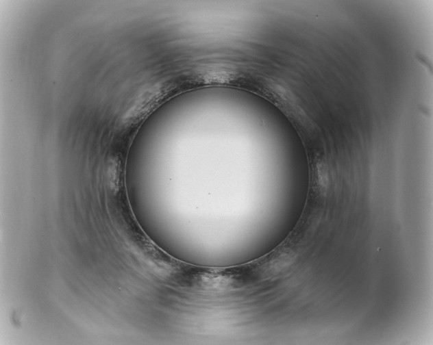 X0000100910311200807011250
