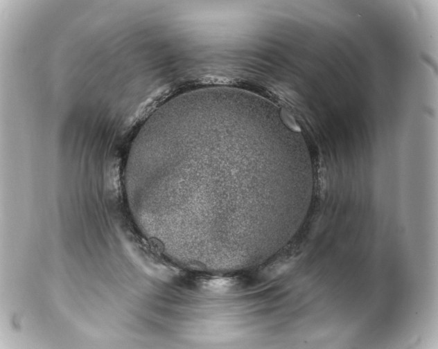 X0000100910312200807011250