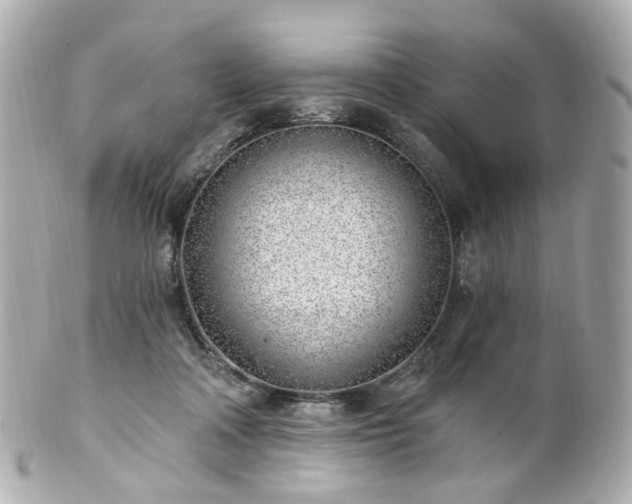 X0000100910314200807011249