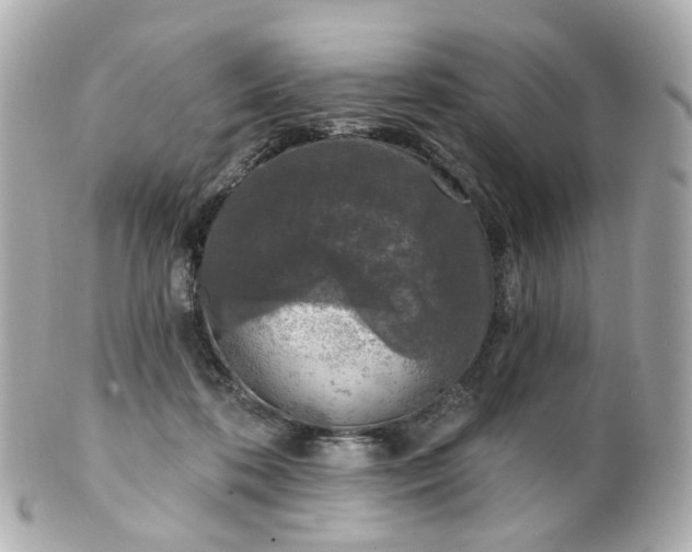 X0000100910316200807011249