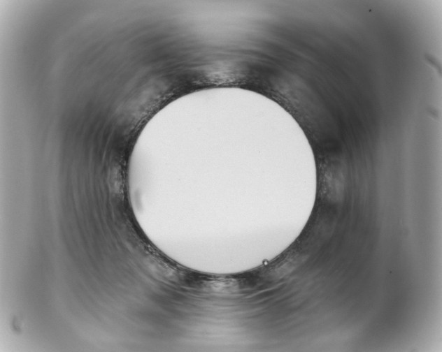 X0000100910317200807011249