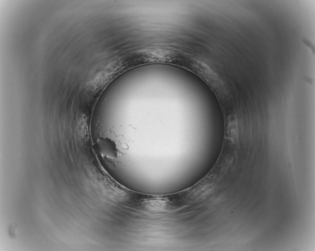 X0000100910318200807011249