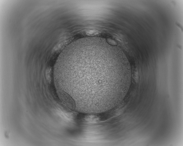 X0000100910319200807011249