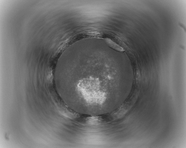 X0000100910320200807011249