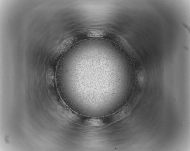 X0000100910322200807011249