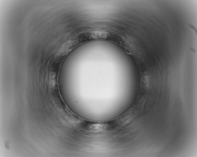 X0000100910323200807011249