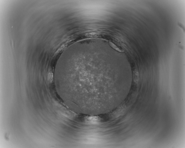 X0000100910324200807011249