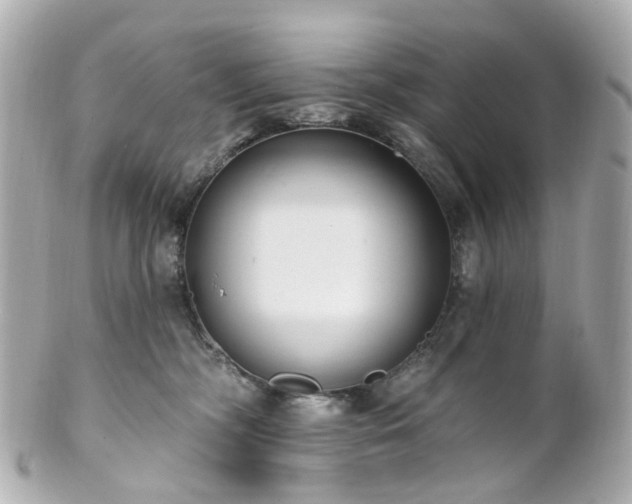 X0000100910326200807011249