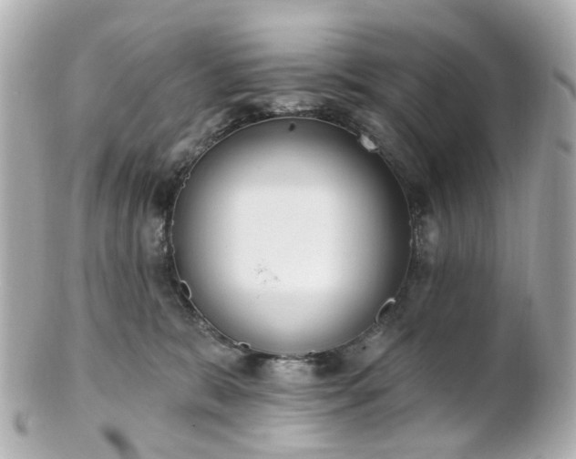 X0000100910327200807011249