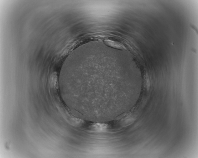 X0000100910328200807011249