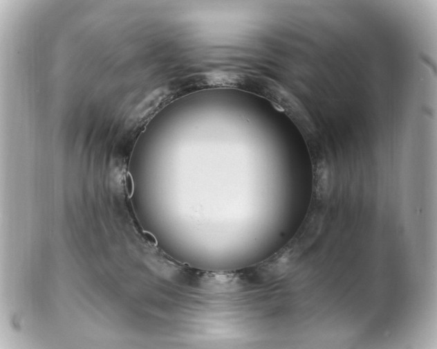 X0000100910329200807011249