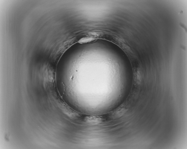 X0000100910331200807011249