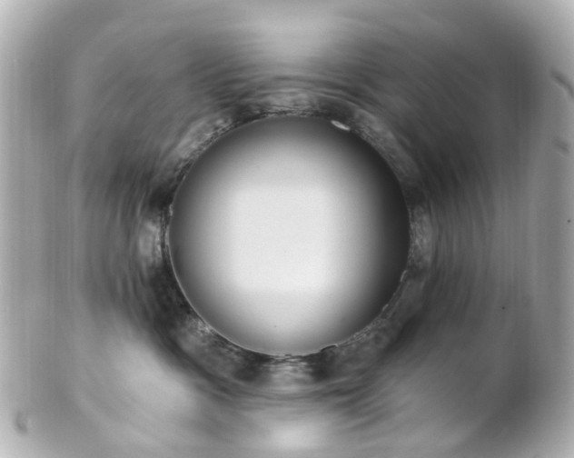 X0000100910333200807011249