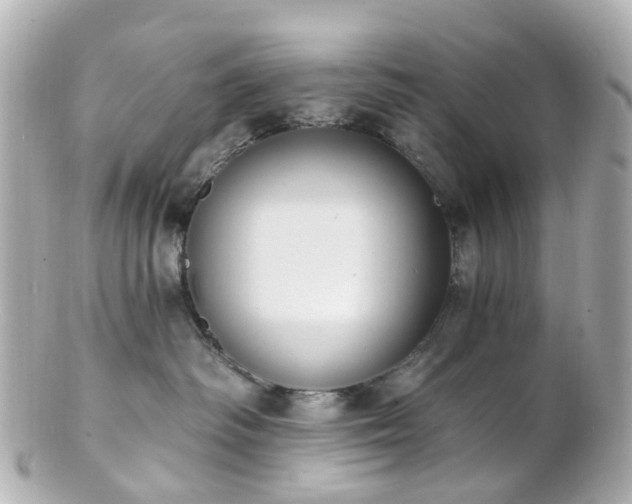 X0000100910334200807011249