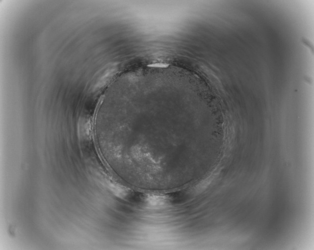 X0000100910336200807011249