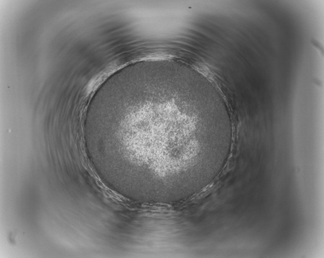 X0000100910337200807011248