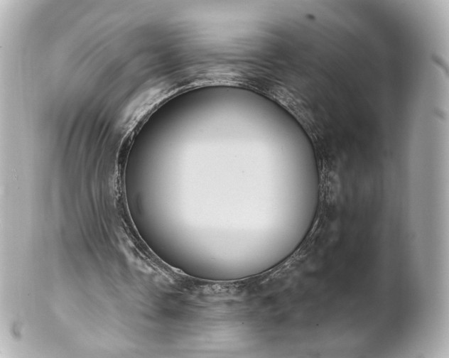 X0000100910338200807011249