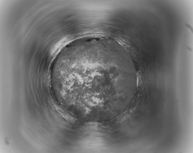 X0000100910339200807011249